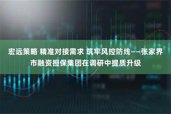 宏远策略 精准对接需求 筑牢风控防线——张家界市融资担保集团在调研中提质升级
