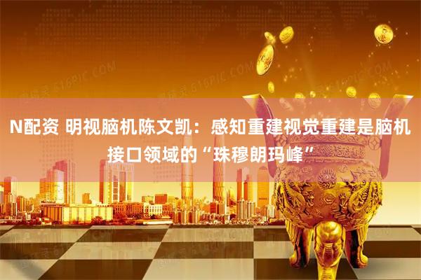 N配资 明视脑机陈文凯：感知重建视觉重建是脑机接口领域的“珠穆朗玛峰”